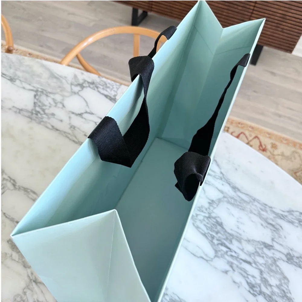 Lanvin Paris Large Light Blue Paper Shopping Bag Black Grosgrain‎ Handles Luxury